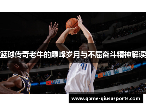 篮球传奇老牛的巅峰岁月与不屈奋斗精神解读